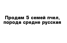 Продам 5 семей пчел, порода средне-русская